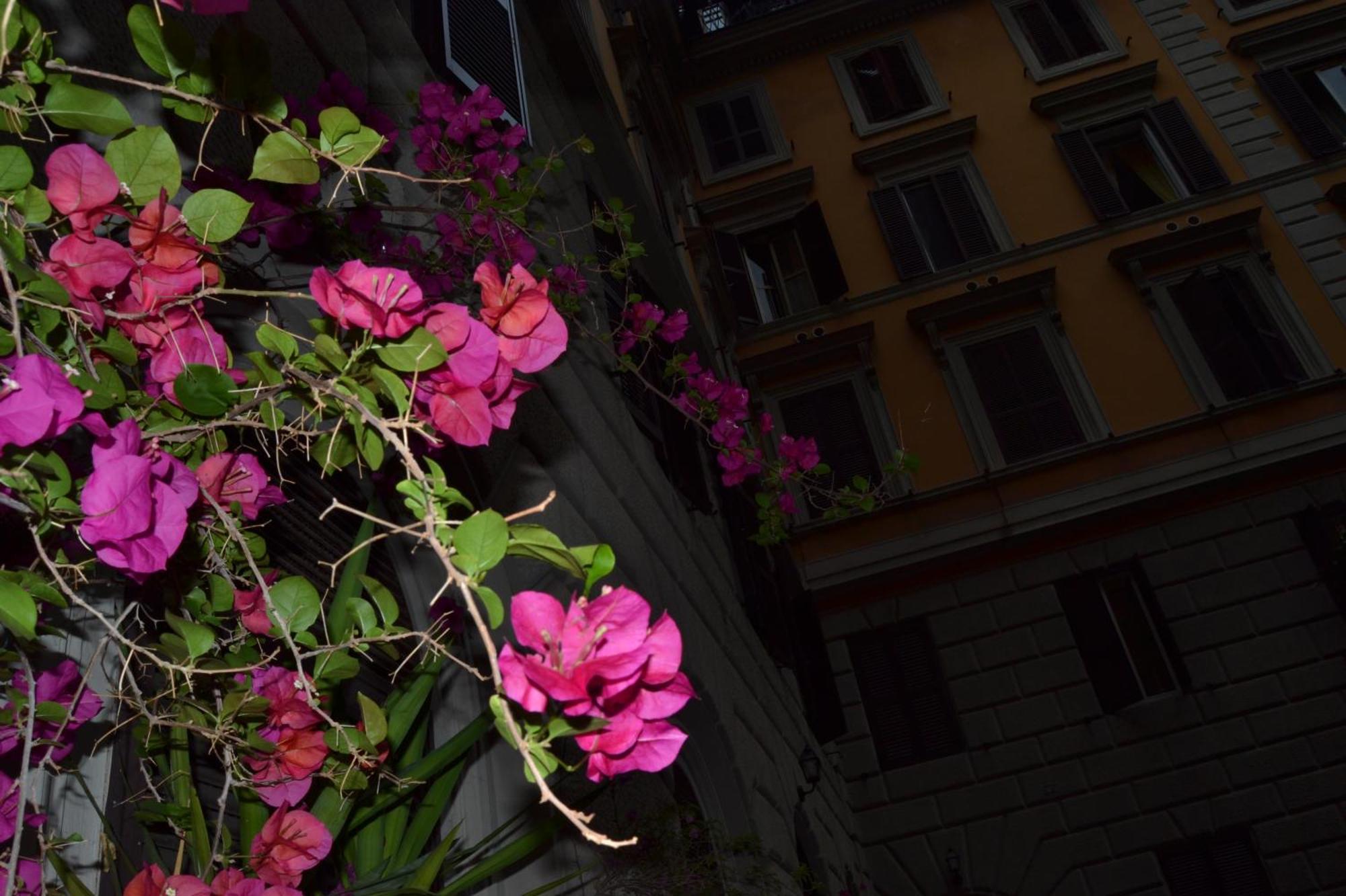 Bye Rome Guesthouse Exterior foto