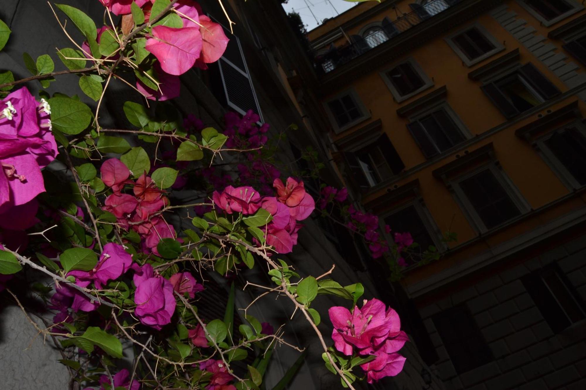 Bye Rome Guesthouse Exterior foto